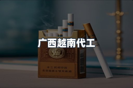 广西越南代工